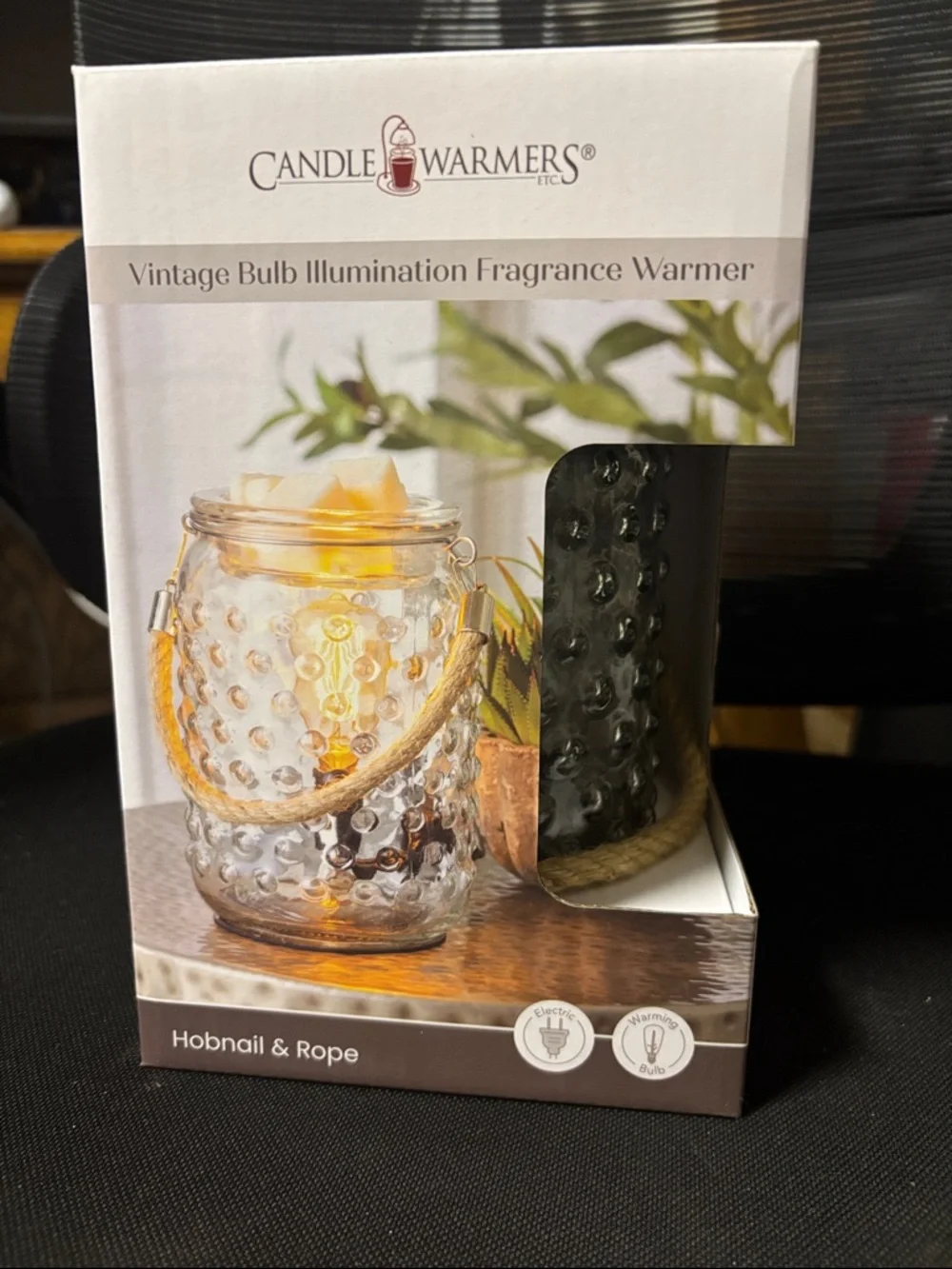 Candle Warmers Vintage Hobnail Bulb Fragrance Warmer - Clear Glass with Rope
